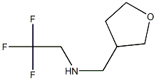 N-(tetrahydrofuran-3-ylmethyl)-N-(2,2,2-trifluoroethyl)amine Struktur