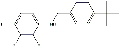 N-[(4-tert-butylphenyl)methyl]-2,3,4-trifluoroaniline Struktur