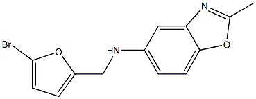 N-[(5-bromofuran-2-yl)methyl]-2-methyl-1,3-benzoxazol-5-amine Struktur