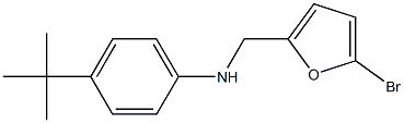 N-[(5-bromofuran-2-yl)methyl]-4-tert-butylaniline Struktur