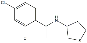 N-[1-(2,4-dichlorophenyl)ethyl]thiolan-3-amine Struktur