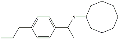 N-[1-(4-propylphenyl)ethyl]cyclooctanamine Struktur