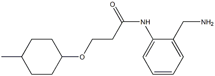 N-[2-(aminomethyl)phenyl]-3-[(4-methylcyclohexyl)oxy]propanamide Struktur