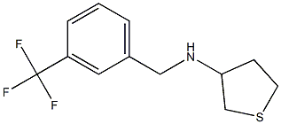 N-{[3-(trifluoromethyl)phenyl]methyl}thiolan-3-amine Struktur