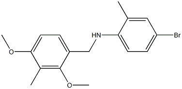 N-(4-bromo-2-methylphenyl)-N-(2,4-dimethoxy-3-methylbenzyl)amine Struktur