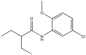 N-(5-chloro-2-methoxyphenyl)-2-ethylbutanamide Struktur