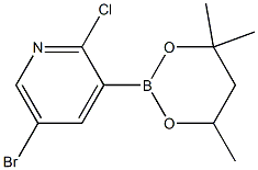 5-Bromo-2-chloro-3-(4,4,6-trimethyl-1,3,2-dioxaborinan-2-yl)pyridine Struktur