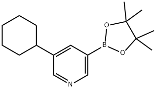 5-(Cyclohexyl)pyridine-3-boronic acid pinacol ester Struktur