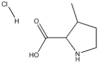 3-methylpyrrolidine-2-carboxylic acid hydrochloride Struktur