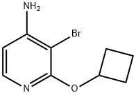 4-AMINO-3-BROMO-2-(CYCLOBUTOXY)PYRIDINE Struktur