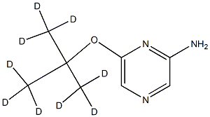 2-Amino-6-(tert-butoxy-d9)-pyrazine Struktur