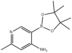 4-Amino-6-methylpyridine-3-boronic acid pinacol ester Struktur