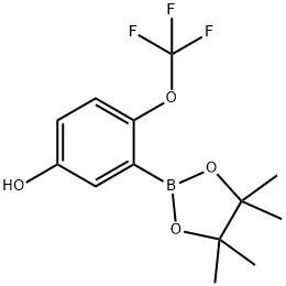 Phenol, 3-(4,4,5,5-tetramethyl-1,3,2-dioxaborolan-2-yl)-4-(trifluoromethoxy)- Struktur