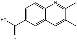 2,3-Dimethyl-quinoline-6-carboxylic acid Struktur