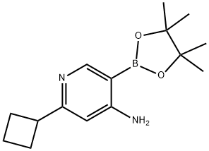 4-Amino-6-(cyclobutyl)pyridine-3-boronic acid pinacol ester Struktur