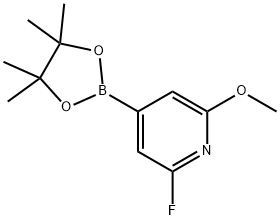 2-fluoro-6-methoxy-4-(4,4,5,5-tetramethyl-1,3,2-dioxaborolan-2-yl)pyridine Struktur