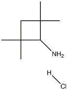 2,2,4,4-tetramethylcyclobutan-1-amine hydrochloride Struktur