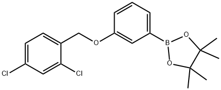 1,3,2-Dioxaborolane, 2-[3-[(2,4-dichlorophenyl)methoxy]phenyl]-4,4,5,5-tetramethyl Struktur