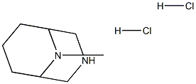 9-methyl-3,9-diazabicyclo[3.3.1]nonane dihydrochloride Struktur