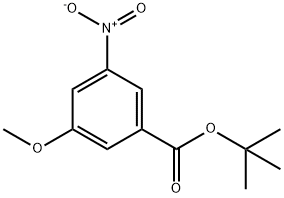 3-Methoxy-5-nitro-benzoic acid tert-butyl ester Struktur