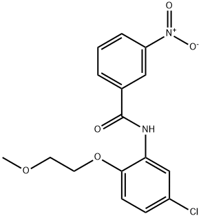 N-[5-chloro-2-(2-methoxyethoxy)phenyl]-3-nitrobenzamide Struktur