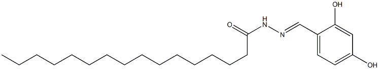 N'-[(1E)-(2,4-dihydroxyphenyl)methylidene]hexadecanehydrazide Struktur