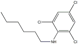 2,4,6-trichloro-N-hexylaniline Struktur