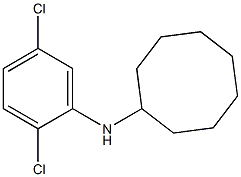 N-(2,5-dichlorophenyl)cyclooctanamine Struktur