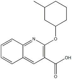 2-[(3-methylcyclohexyl)oxy]quinoline-3-carboxylic acid Struktur