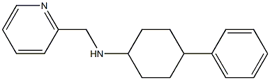 4-phenyl-N-(pyridin-2-ylmethyl)cyclohexan-1-amine Struktur