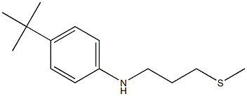 4-tert-butyl-N-[3-(methylsulfanyl)propyl]aniline Struktur