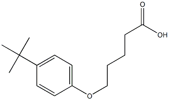 5-(4-tert-butylphenoxy)pentanoic acid Struktur