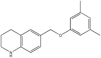 6-(3,5-dimethylphenoxymethyl)-1,2,3,4-tetrahydroquinoline Struktur