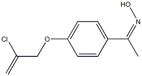 N-(1-{4-[(2-chloroprop-2-en-1-yl)oxy]phenyl}ethylidene)hydroxylamine Struktur