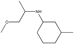 N-(1-methoxypropan-2-yl)-3-methylcyclohexan-1-amine Struktur