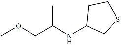 N-(1-methoxypropan-2-yl)thiolan-3-amine Struktur