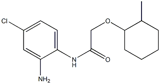 N-(2-amino-4-chlorophenyl)-2-[(2-methylcyclohexyl)oxy]acetamide Struktur