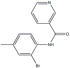 N-(2-bromo-4-methylphenyl)nicotinamide Struktur