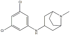 N-(3,5-dichlorophenyl)-8-methyl-8-azabicyclo[3.2.1]octan-3-amine Struktur