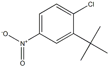 2-tert-Butyl-1-chloro-4-nitro-benzene Struktur