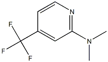 Dimethyl-(4-trifluoromethyl-pyridin-2-yl)-amine Struktur