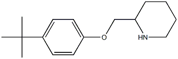 4-(TERT-BUTYL)PHENYL 2-PIPERIDINYLMETHYL ETHER Struktur