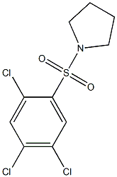 1-[(2,4,5-trichlorophenyl)sulfonyl]pyrrolidine Struktur