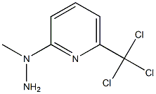 1-(6-(trichloromethyl)pyridin-2-yl)-1-methylhydrazine Struktur