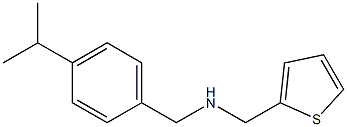 {[4-(propan-2-yl)phenyl]methyl}(thiophen-2-ylmethyl)amine Struktur