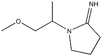 1-(1-methoxypropan-2-yl)pyrrolidin-2-imine Struktur