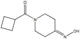 1-(cyclobutylcarbonyl)piperidin-4-one oxime Struktur