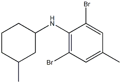 2,6-dibromo-4-methyl-N-(3-methylcyclohexyl)aniline Struktur