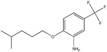 2-[(4-methylpentyl)oxy]-5-(trifluoromethyl)aniline Struktur