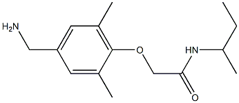 2-[4-(aminomethyl)-2,6-dimethylphenoxy]-N-(butan-2-yl)acetamide Struktur